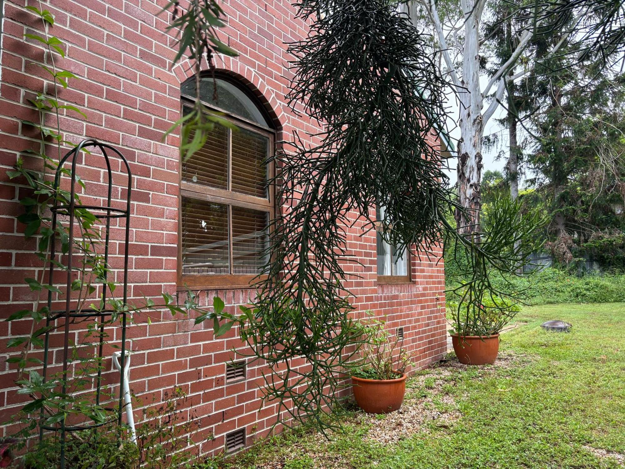 Celestial Dew Guesthouse In Tyalgum Екстериор снимка