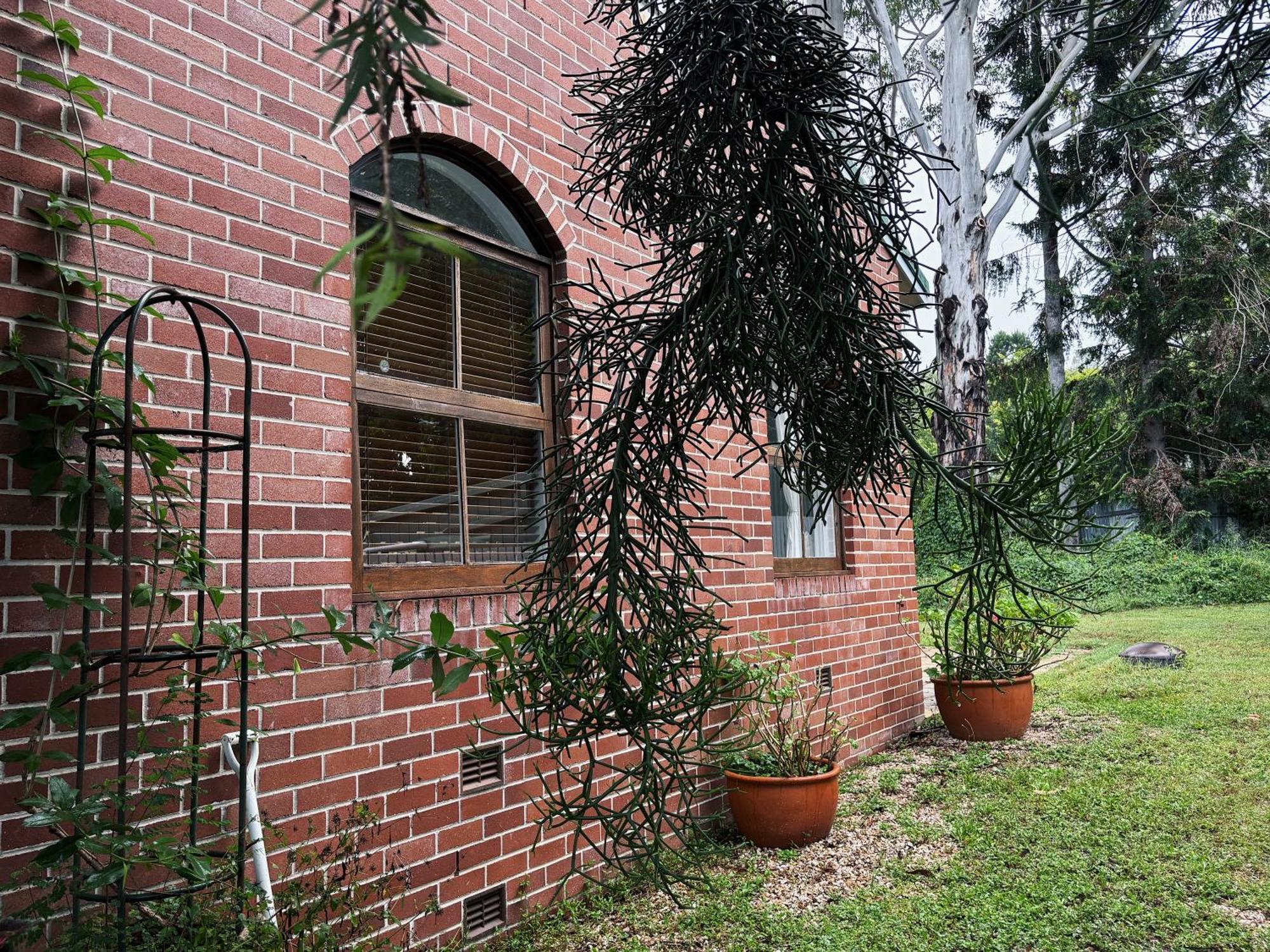 Celestial Dew Guesthouse In Tyalgum Екстериор снимка