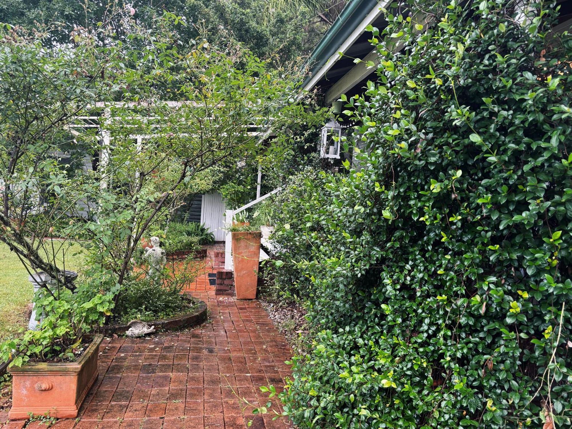 Celestial Dew Guesthouse In Tyalgum Екстериор снимка